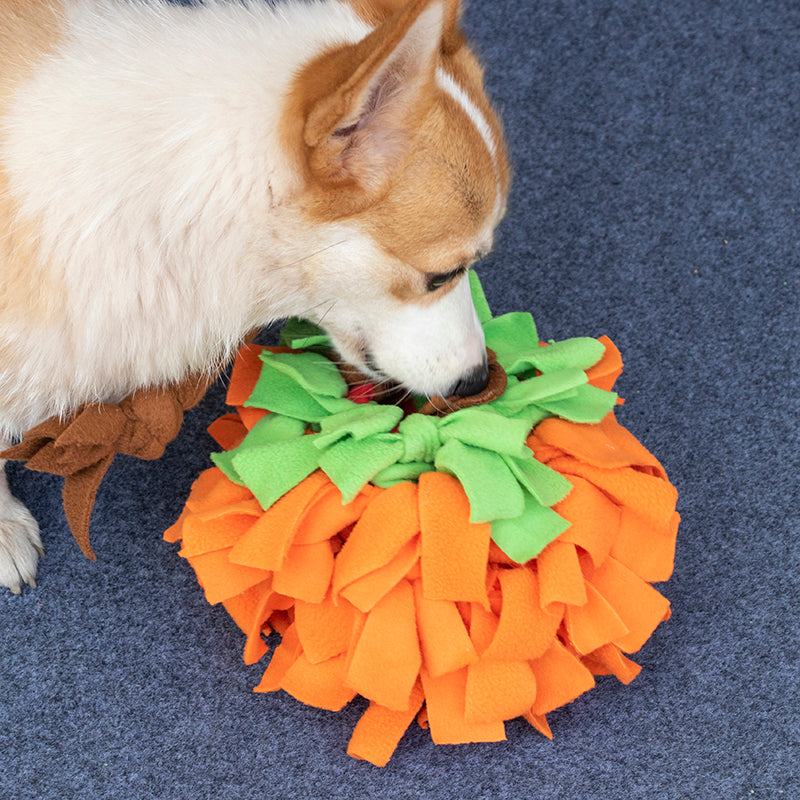 Pumpkin Snuffle Ball, photo 1