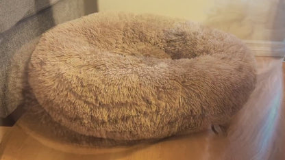 A dog climbs into a Cozy Nest bed and curls up (product demo)
