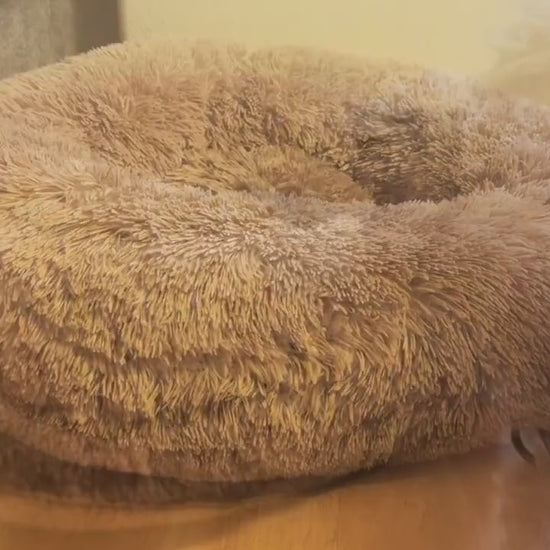 A dog climbs into a Cozy Nest bed and curls up (product demo)