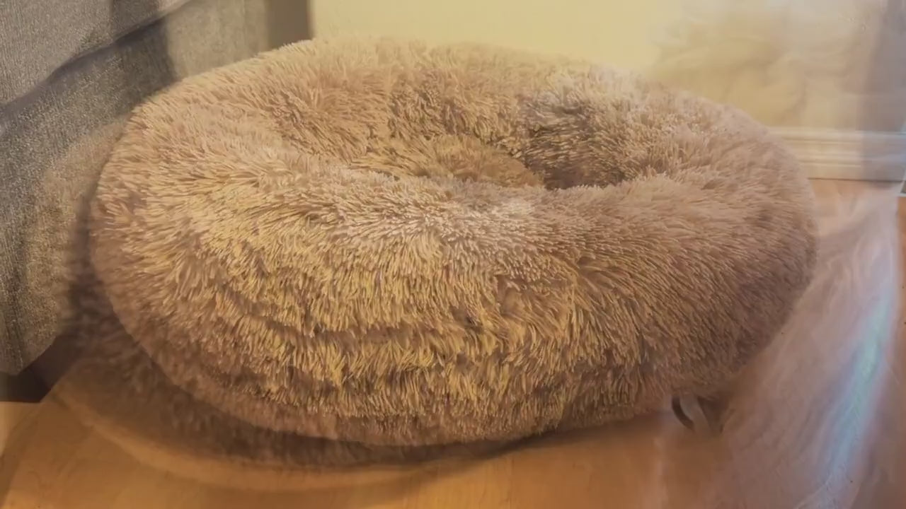 A dog climbs into a Cozy Nest bed and curls up (product demo)